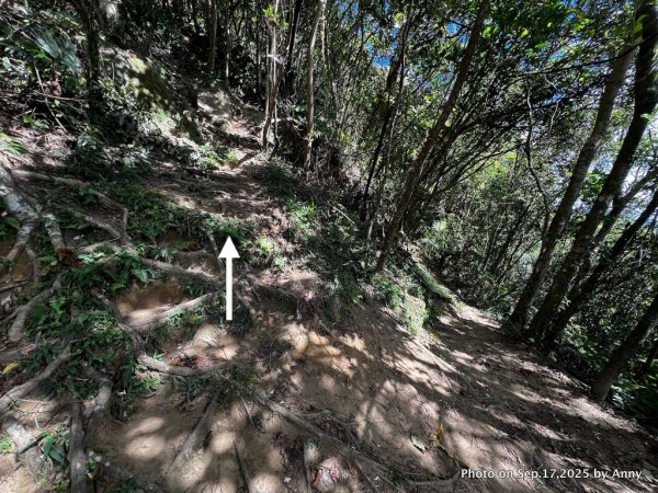 微笑山線【五分山系】菁桐煤礦段＋平溪小黃山段2906713