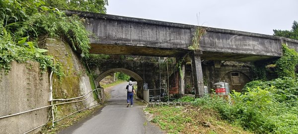 2026/05/10 竹東森林公園步道+樹杞林山O型3052528