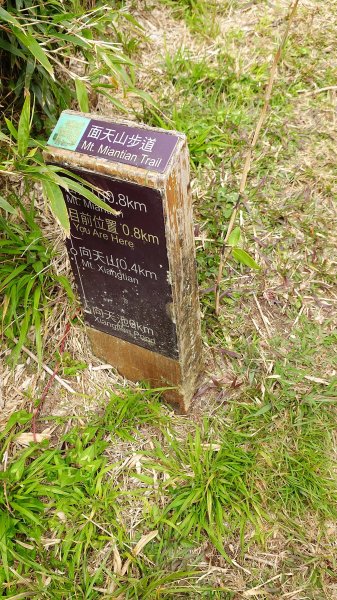 20260125 陽明山前後山健行(無極天元宮~山仔頂步道.向天池.向天山.面天山.二子坪)2998020