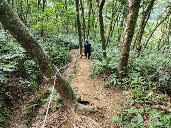 20240114指南宮站經猴山岳二格山鵝角格山至貓空站2430839