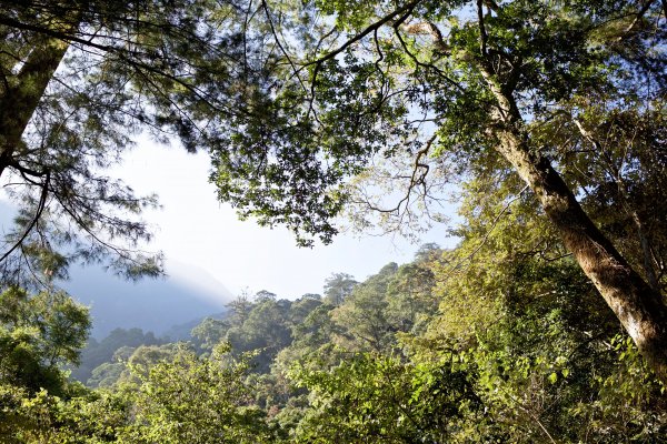 谷關七雄：八仙山468264