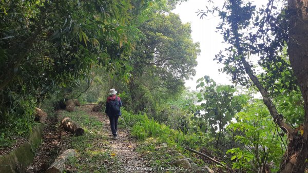 《台中》悠然雅緻｜后里毘盧禪寺小O精華步道202504042752321