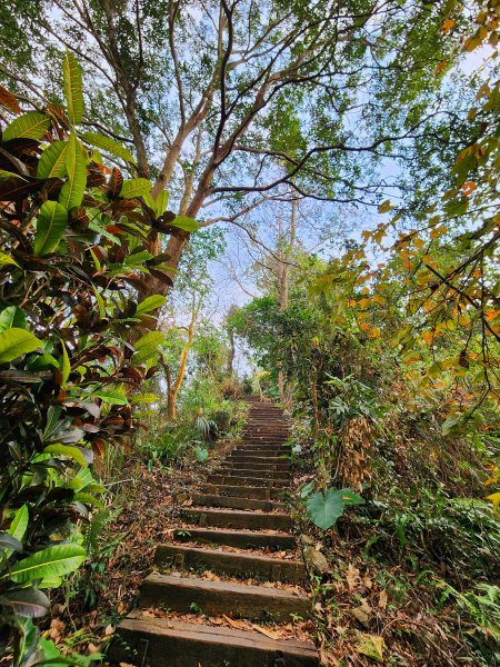 小百岳集起來-獨立山2182967