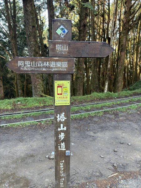 20251225塔山步道(大塔山)2970327