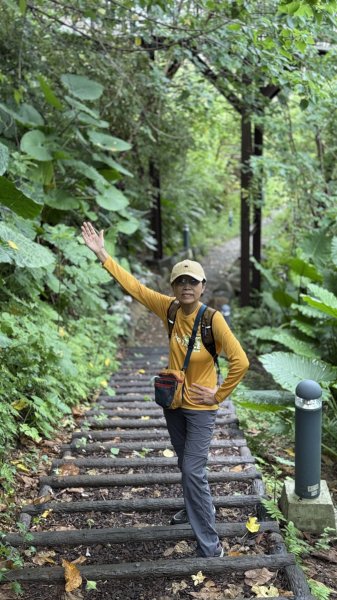 多元化的文山森林公園|天空步道|趣探險之丘|峯花雪月2834950