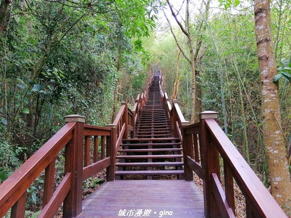 適合賞景健身親子型步道~鳳凰山觀音山步道1244162