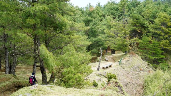 20180420鹿林山 麟趾山1495684