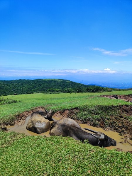 2025台北大縱走二刷2818064