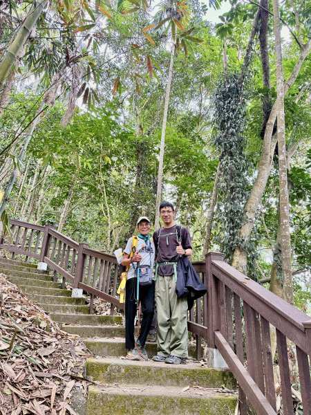 二尖.大尖山悠遊--好友再聚的茶園餘韻   2026.01.182985466