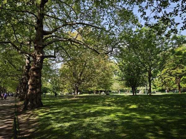 2025_0428 倫敦馬拉松順遊西歐 D10b(白金漢宮)2795173