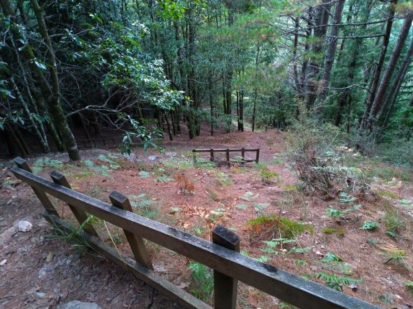 武陵四秀之桃山449047