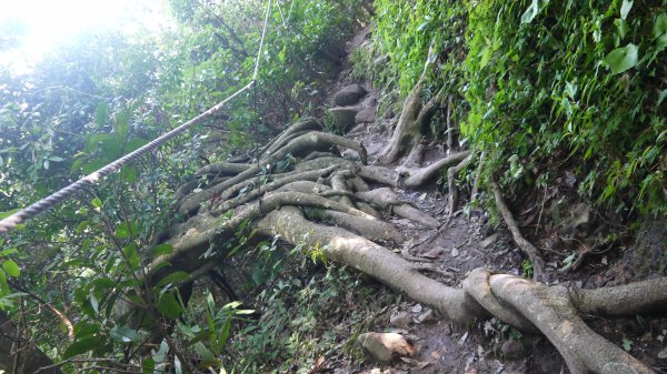 觀音山登山健行趣(小百岳05號)1632405