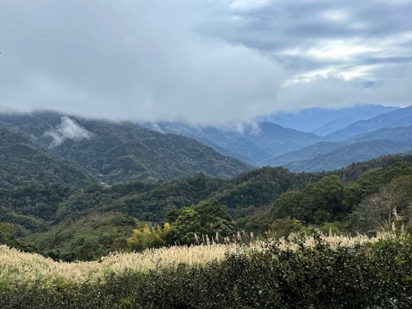 大山背山+騎龍山O繞2025.12.282979491