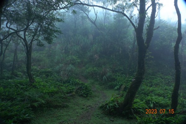 宜蘭 頭城 烘爐地山、姑婆寮山、桶後溪源頭2221786