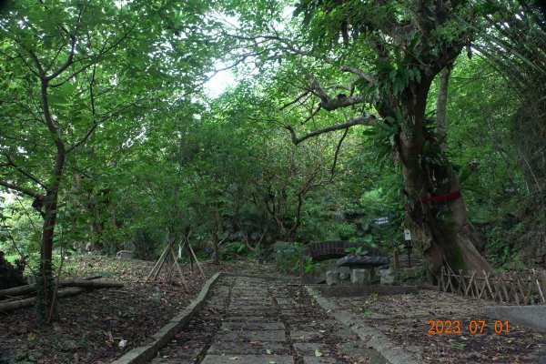 宜蘭 頭城 蕃薯寮山、鹿窟尾山、灣坑頭山2202993