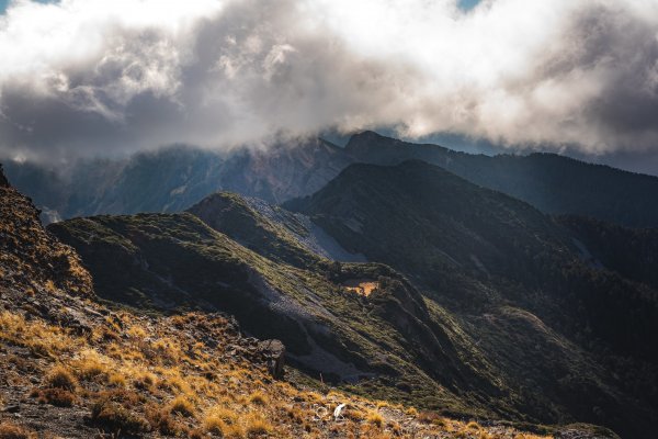 心映雪翠｜Mt.Xue｜Taiwan 785807