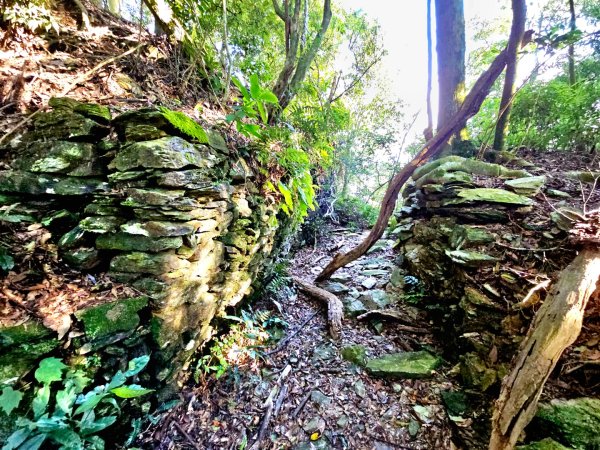 鳴海山-小百岳#71-高雄市茂林區2930877