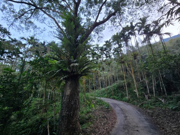 九龍山連走大凍山2955702
