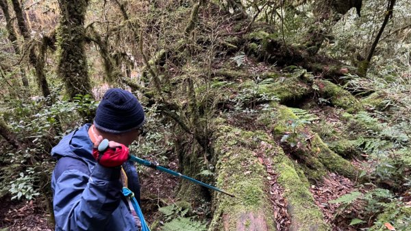 塔魔巴2天1夜來回/復興尖-四稜溫泉2357284