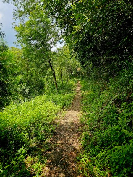 渡南古道+飛鳳古道 - 2024森遊竹縣皮皮獅Hike客任務2555034