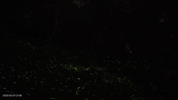 翡翠水庫壩頂 #火燒雲雲海 #日出雲海 #鱷魚島 #藍腹鷴 4/292773438