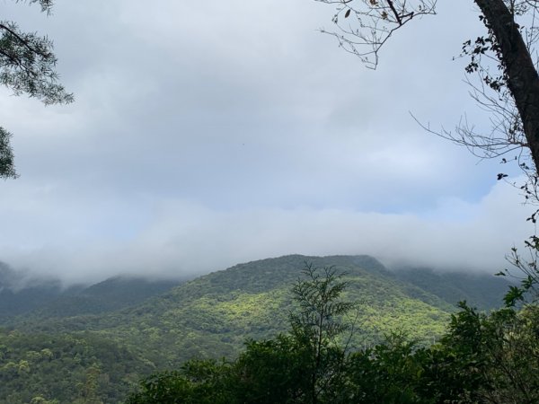 三角崙山、聖母登山步道1638315