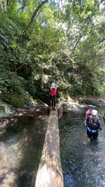 坪林-碧湖溪-蛋糕瀑布群（溯溪）2821306