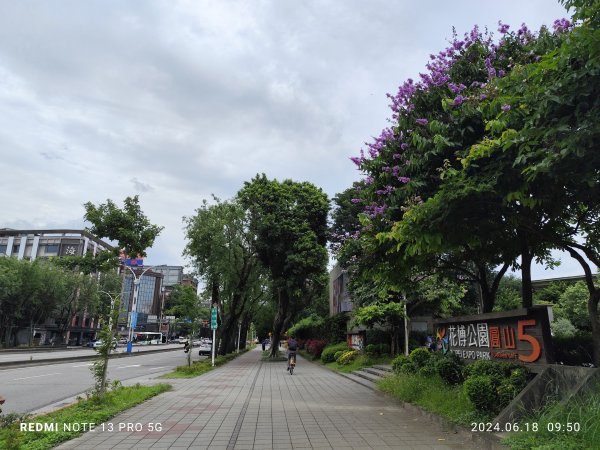 圓山花博健走步道、中山區上班族健走步道、臨濟護國禪寺【走路趣尋寶，全臺齊步走】2530357