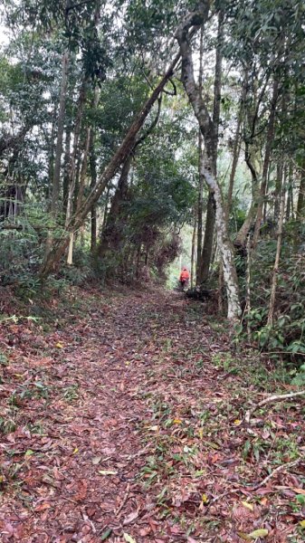 過坑山快閃2685070