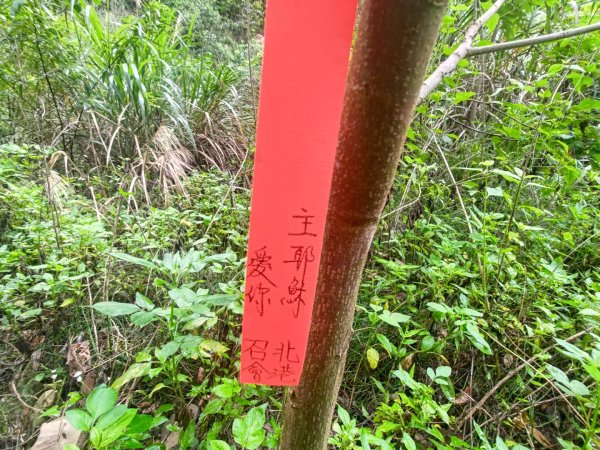 虱石山、岳亞那山連走岳亞那山西北峰、竹腳山2507221