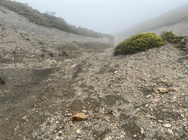 聖稜線I 2023_0524(D2-5) 凱蘭特崑山北峰2166245