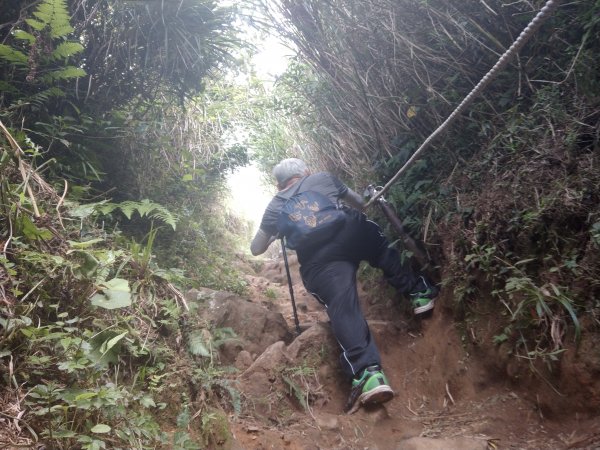 大屯山連峰1453755