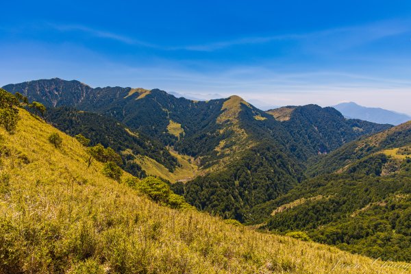 [百岳]合歡北、西峰3039442