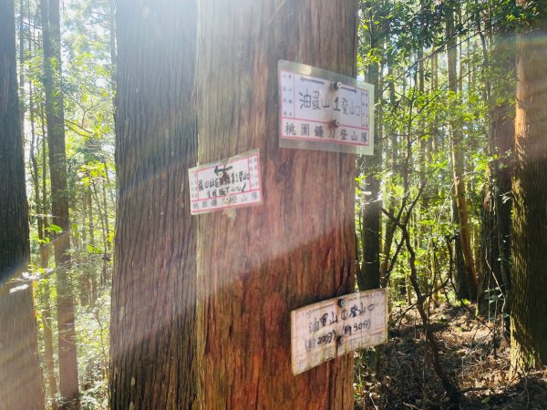 1141116油羅山2946438