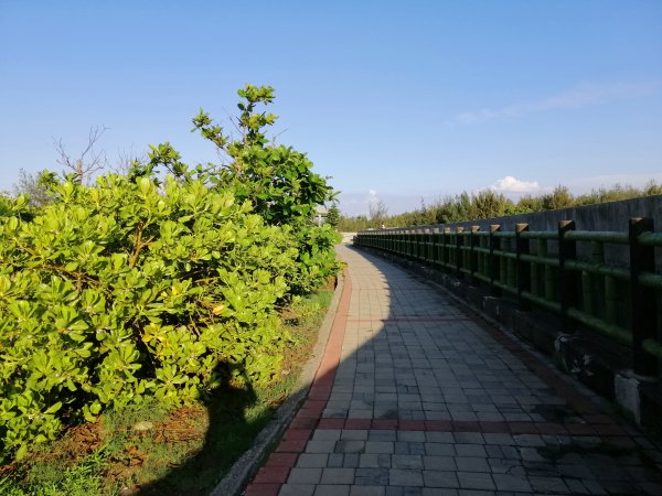 台中大安~風車轉轉~龜殼生態公園景觀步道1014953