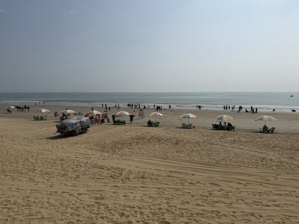 [茂名馬之行-07] 2026_0117 中國第一灘2995562