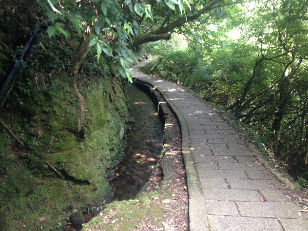 坪頂古圳親山步道587009