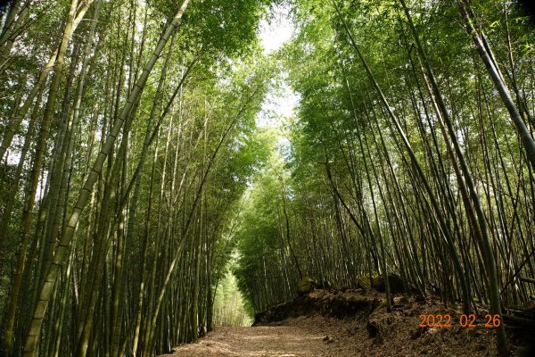 嘉義 阿里山 卓武山1623088