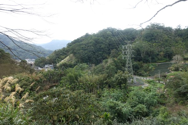 觀音台 水柳腳登山步道3085159