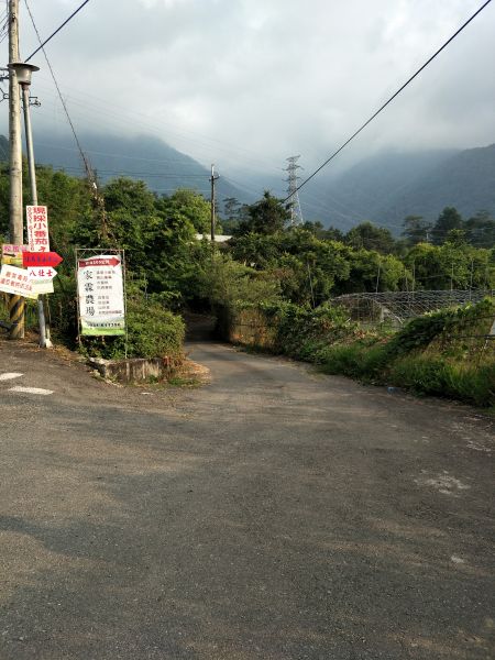 馬崙山~走不完感覺的五星級森林步道337050