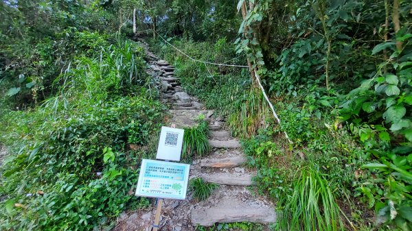 北大武 日湯真 喜多麗 檜谷 神木 一天一夜1518665