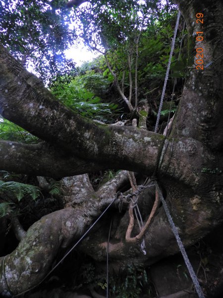 臺北市 文山 中埔山東峰817236