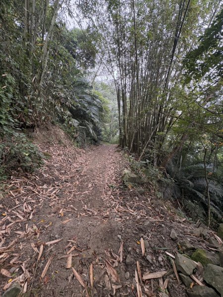 20251108西阿里關山步道(小林村東側登山口啟登)2933484