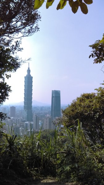 【臺北大縱走 6】象山拇指山南港山九五峰918404