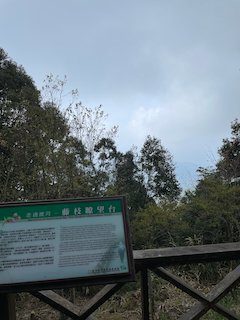藤枝國家森林公園半日遊1631213