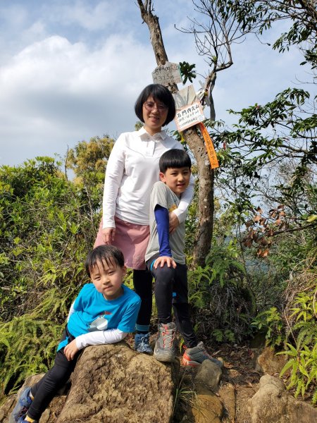 阿興阿賢土城媽祖田小O1289094