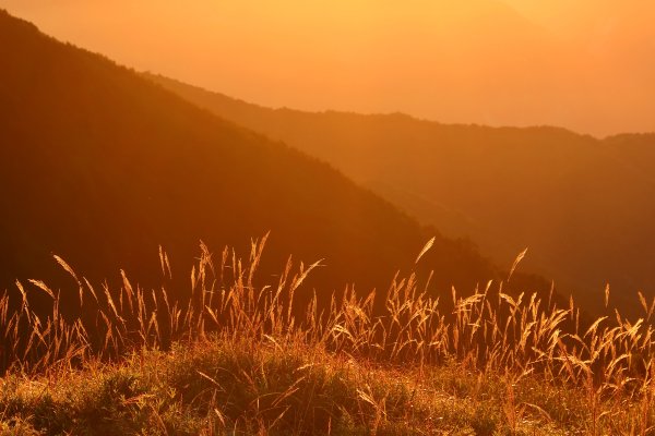 觀雲山莊經小完美谷上畢祿山O繞2917275