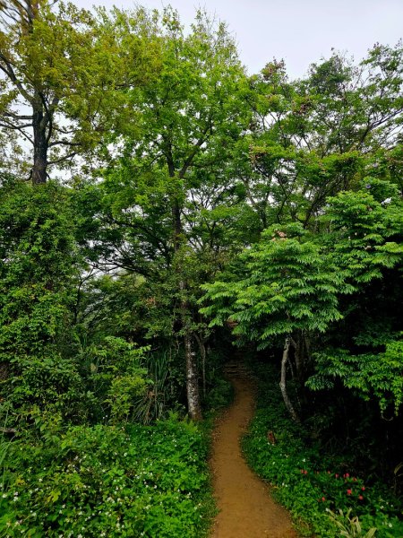 2026年臺北大縱走第六段：中華科技大學至捷運麟光站3026048