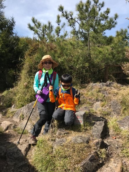 無敵展望高山杜鵑增色的東埔山560639