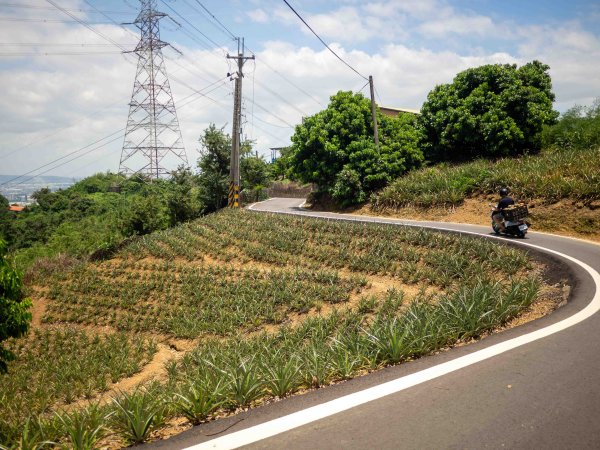 阿罩霧山、中心瓏步道3085690
